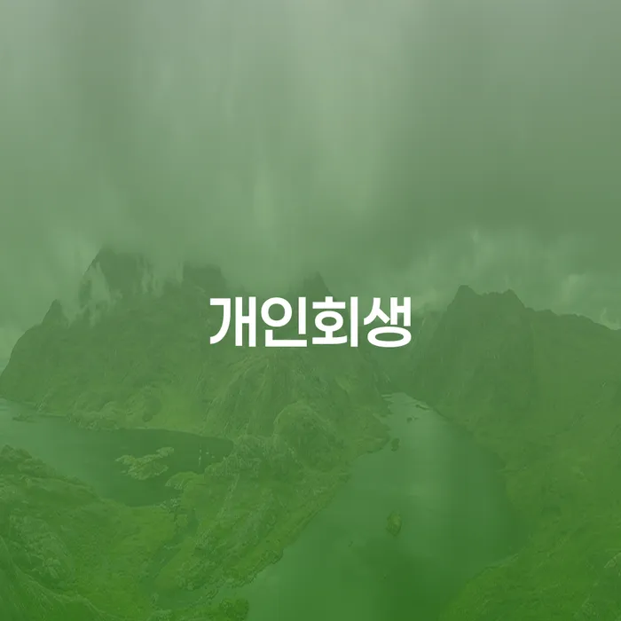 개인신용회복제도 개인회생으로 현명하게 노하우들