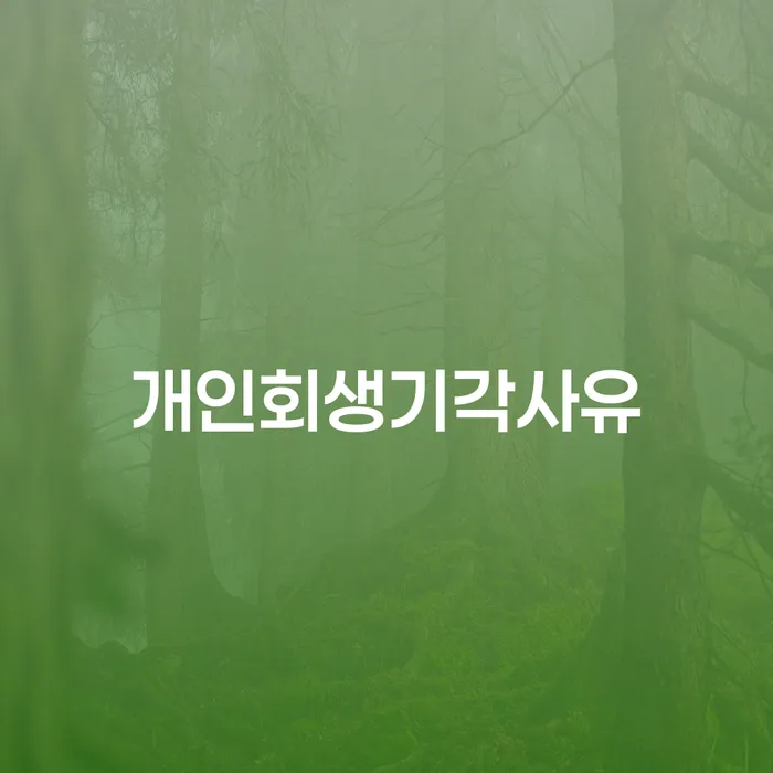 성주군 개인회생개인파산 채무조정제도을 이용하여 도움을 받을 수 있는 제도