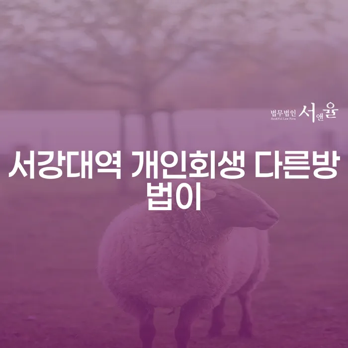 서강대역 개인회생 다른방법이