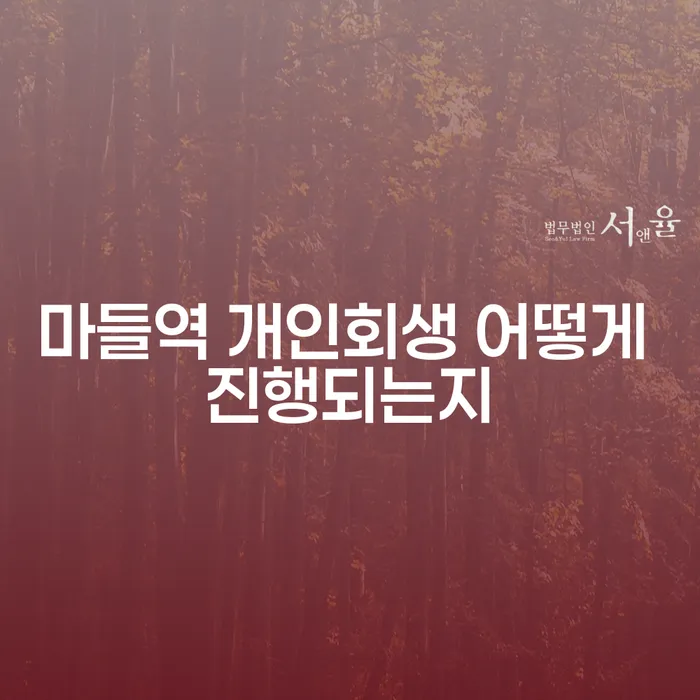마들역 개인회생 어떻게 진행되는지