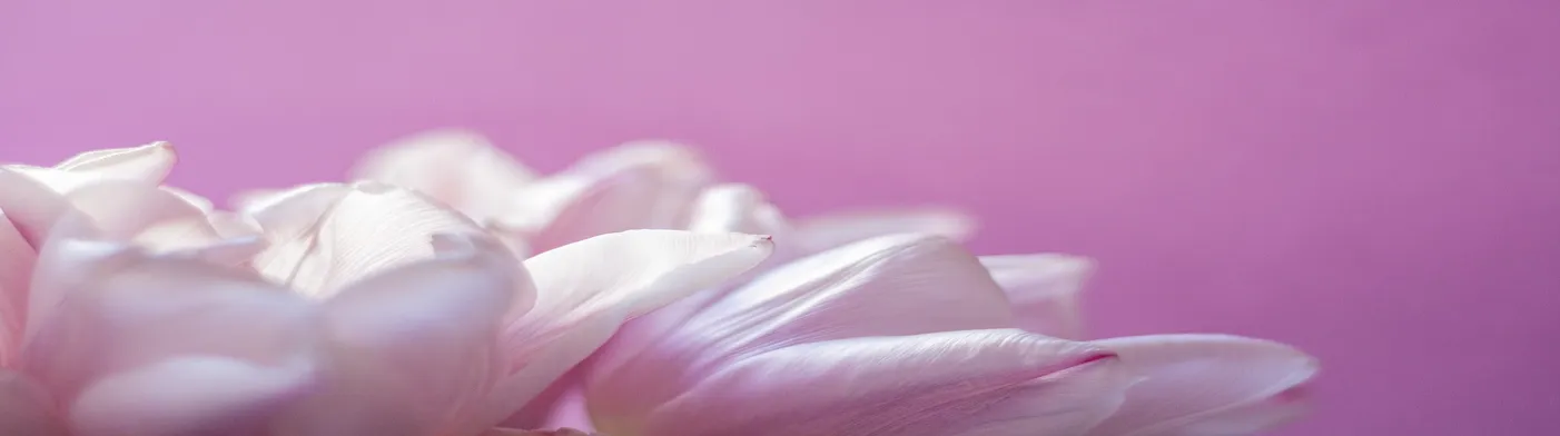 법무법인 서앤율