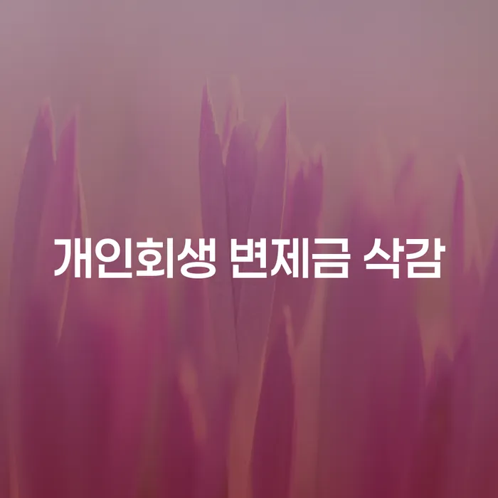 개인회생 변제금 삭감, 새로운 희망을 찾을 수 있을까요?