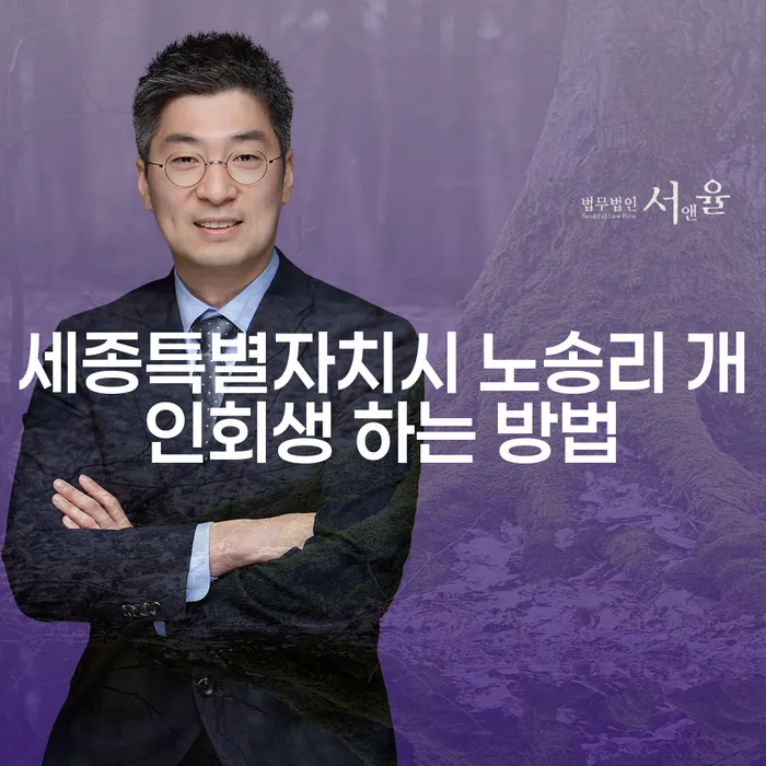 세종특별자치시 노송리에서 개인회생을 어떻게 시작할 수 있을까요?