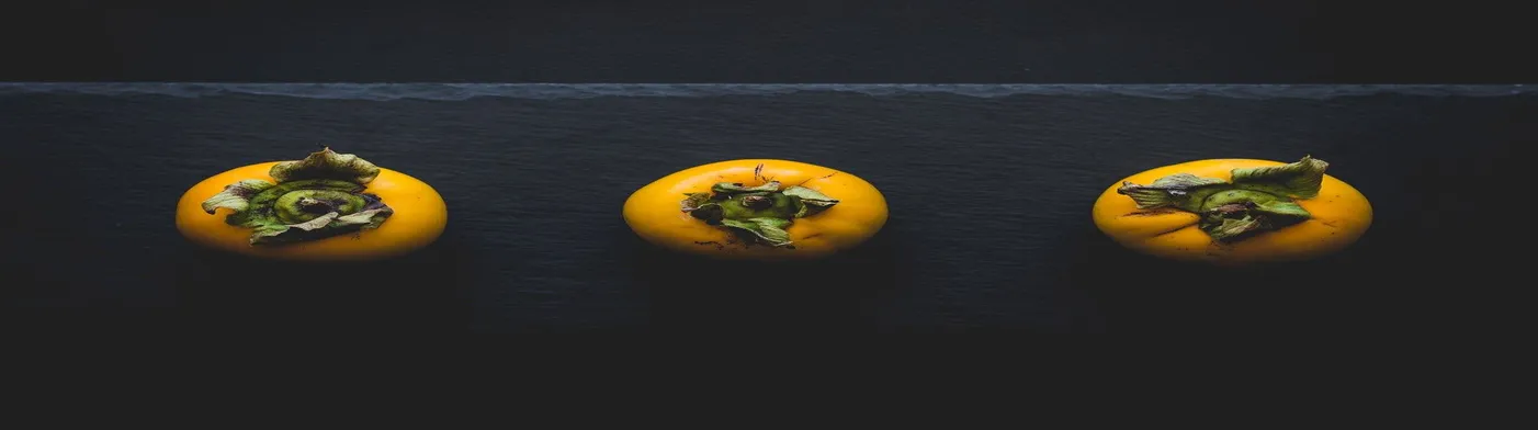 법무법인 서앤율